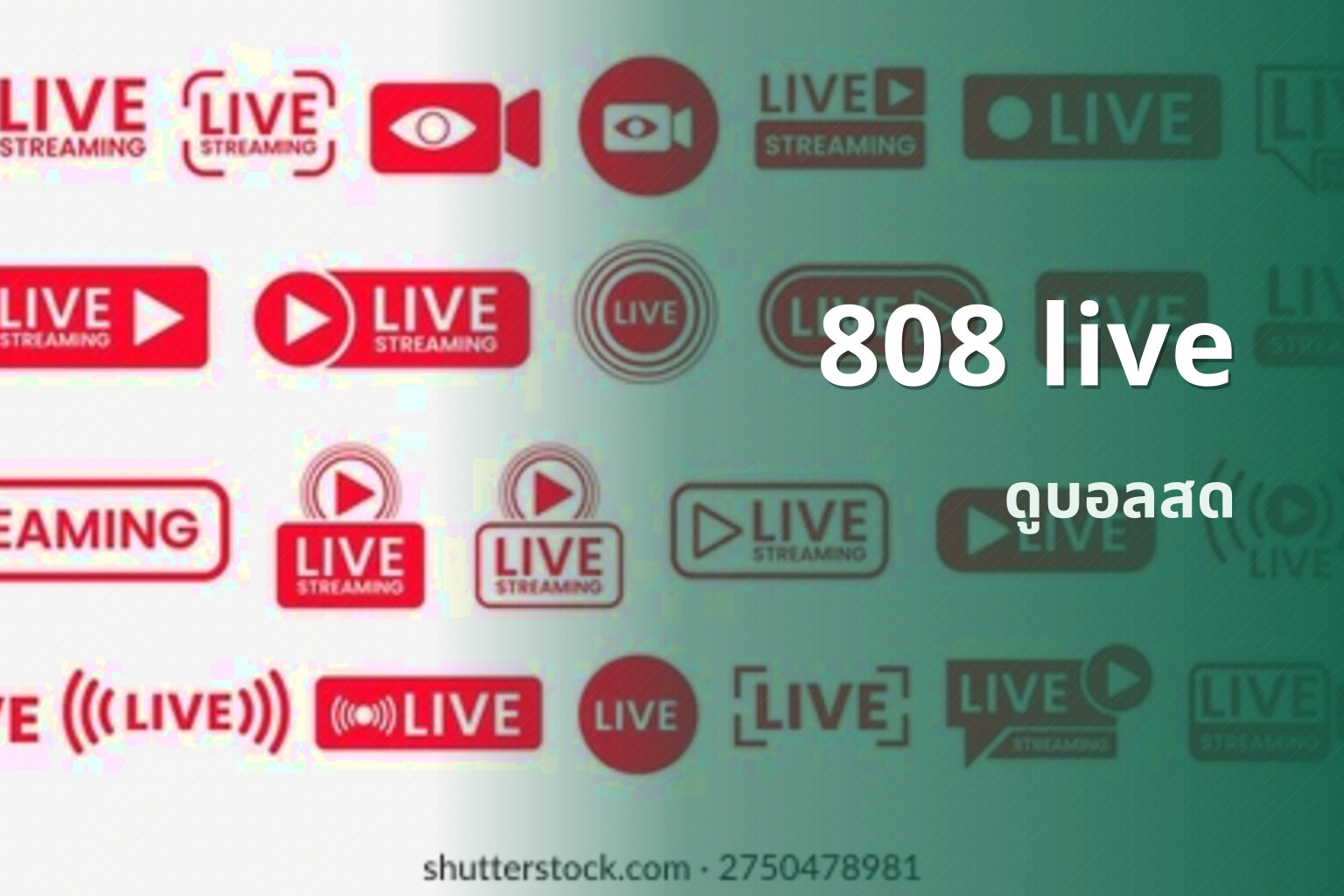 808 live - live streaming service