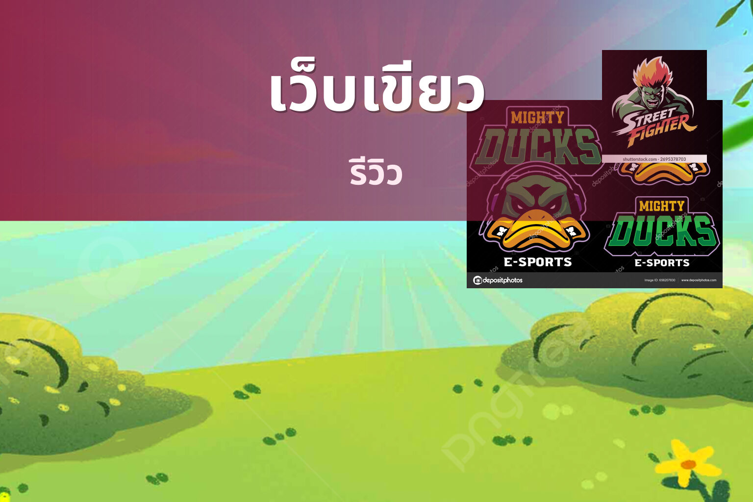 เว็บเขียว รีวิว