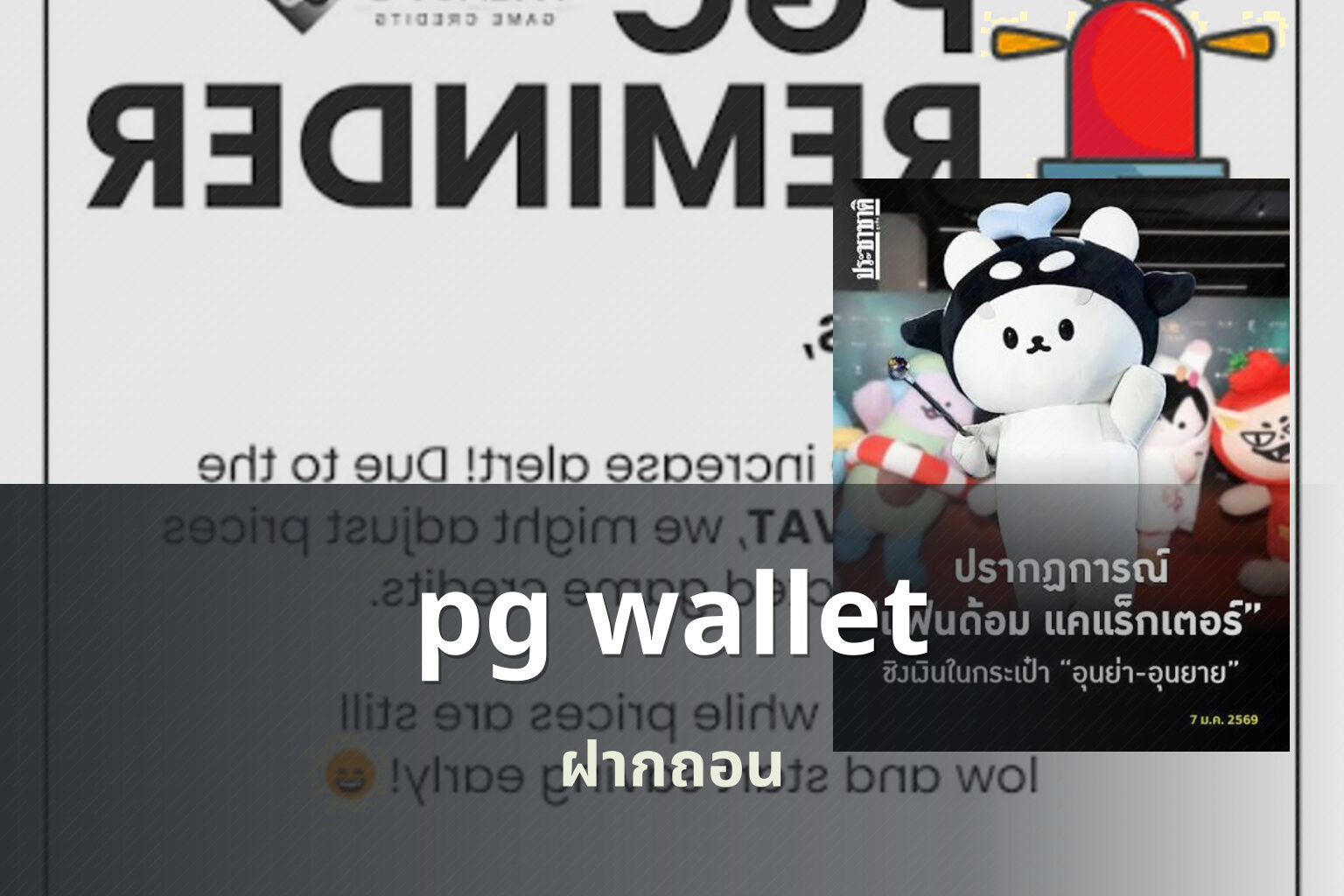 pg wallet - payment service for gaming