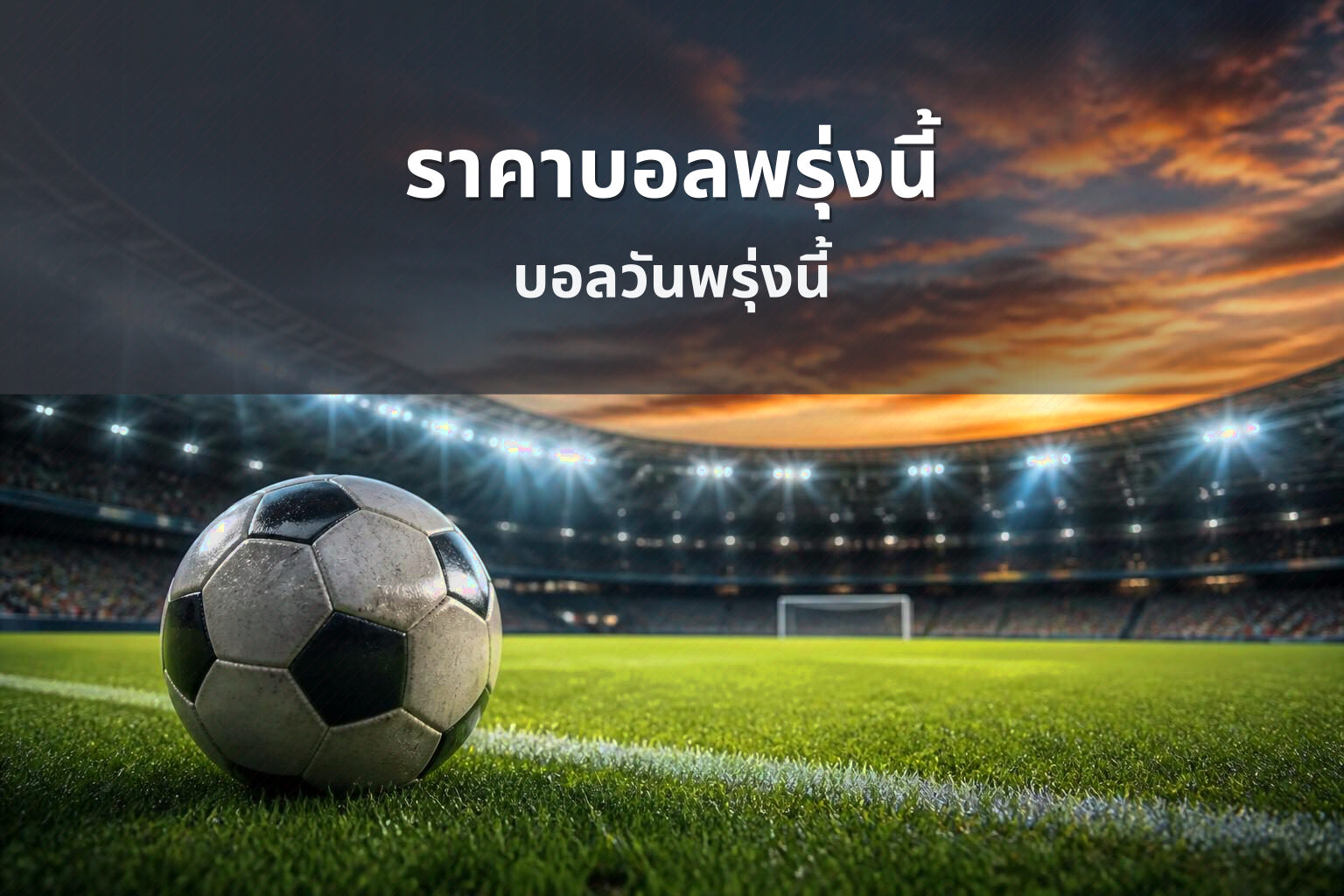 ราคาบอลพรุ่งนี้ บอลวันพรุ่งนี้