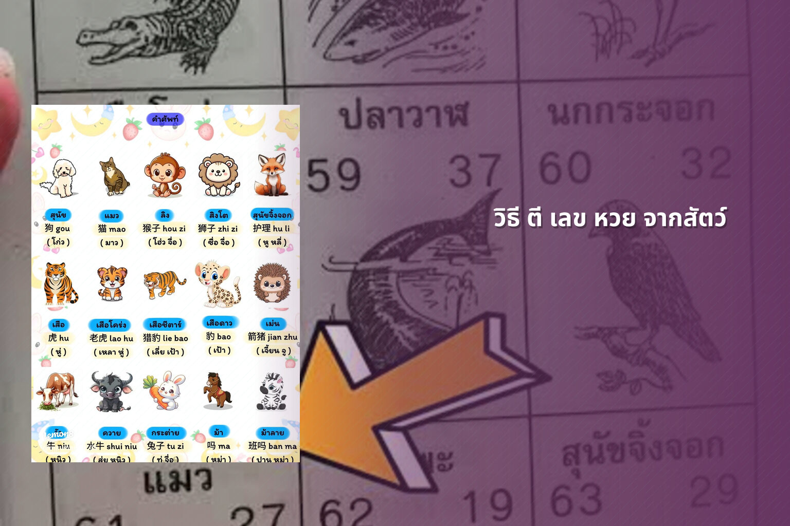 วิธี ตี เลข หวย จากสัตว์ - หวย