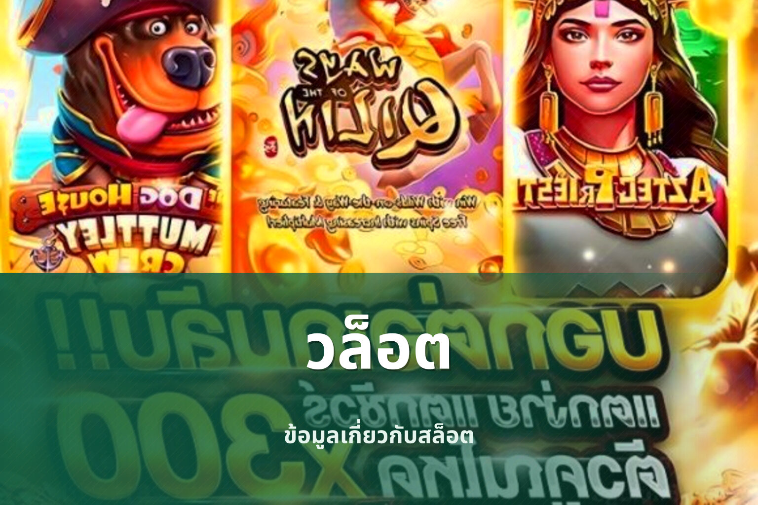 วล็อต ข้อมูลเกี่ยวกับสล็อต