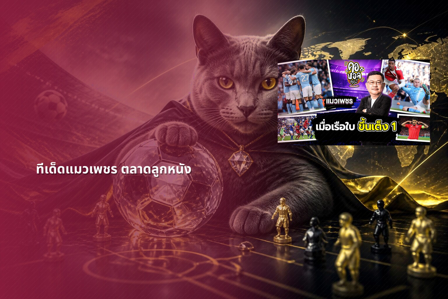 ทีเด็ดแมวเพชร ตลาดลูกหนัง - sports predictions