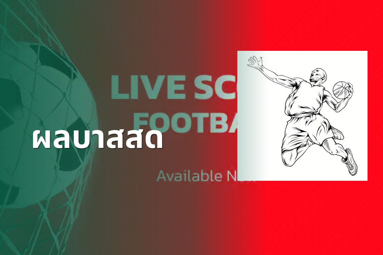 ผลบาสสด - live sports scores