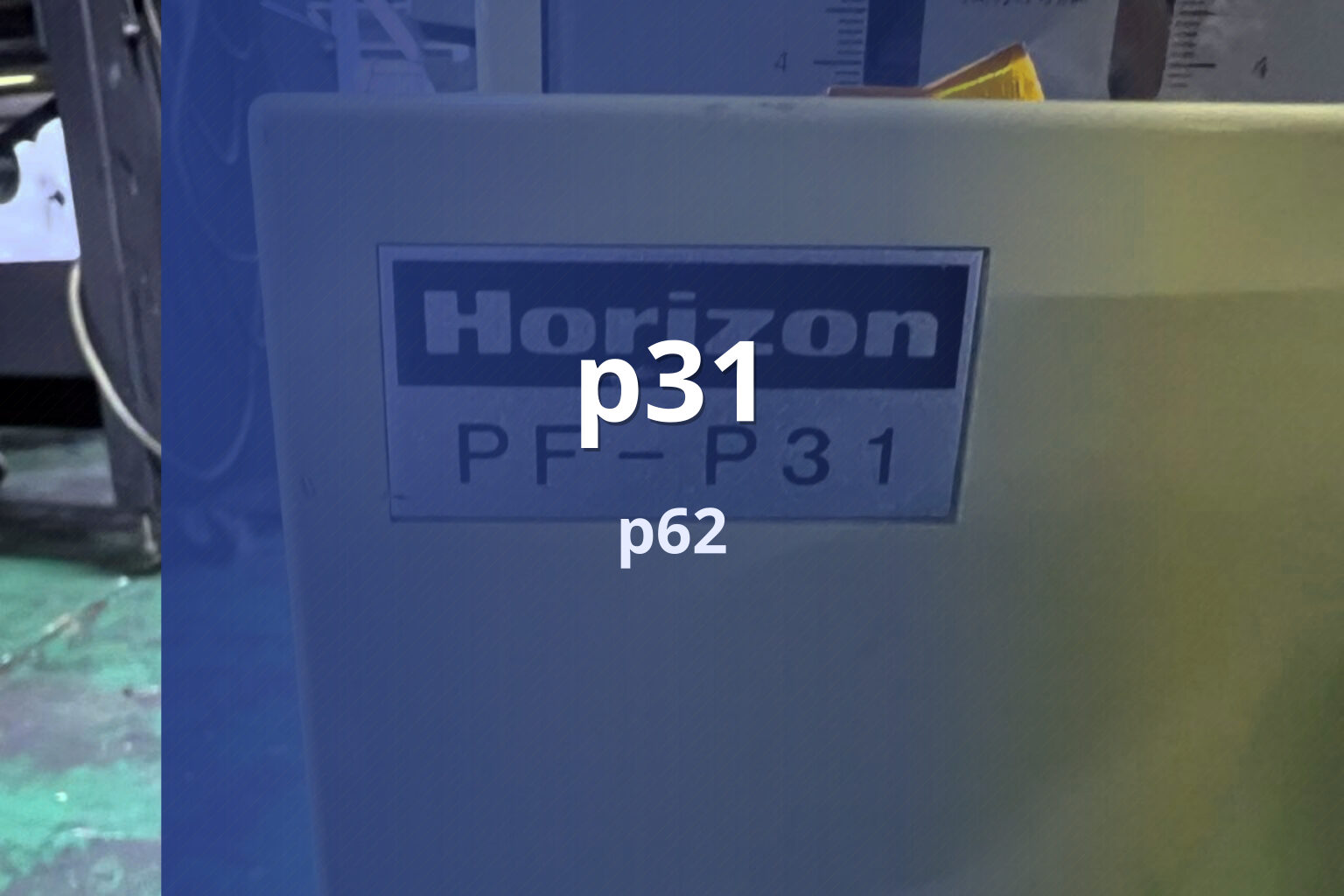 p31 p62