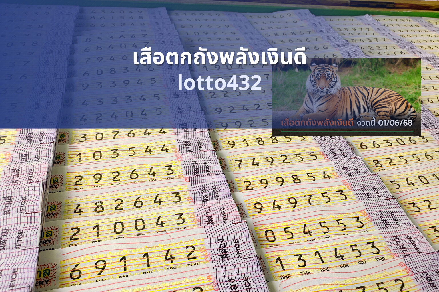 เสือตกถังพลังเงินดี - lottery predictions