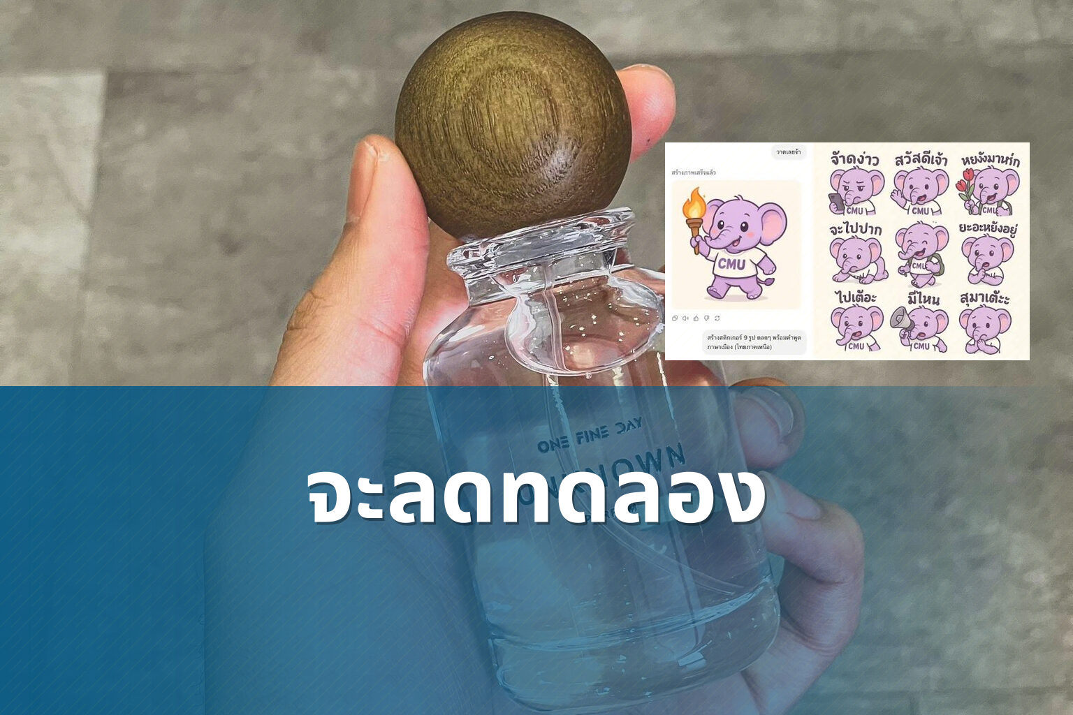 จะลดทดลอง - unknown