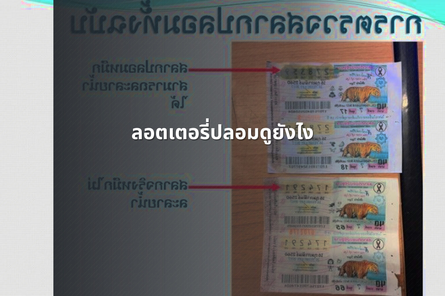 ลอตเตอรี่ปลอมดูยังไง - fake lottery tickets
