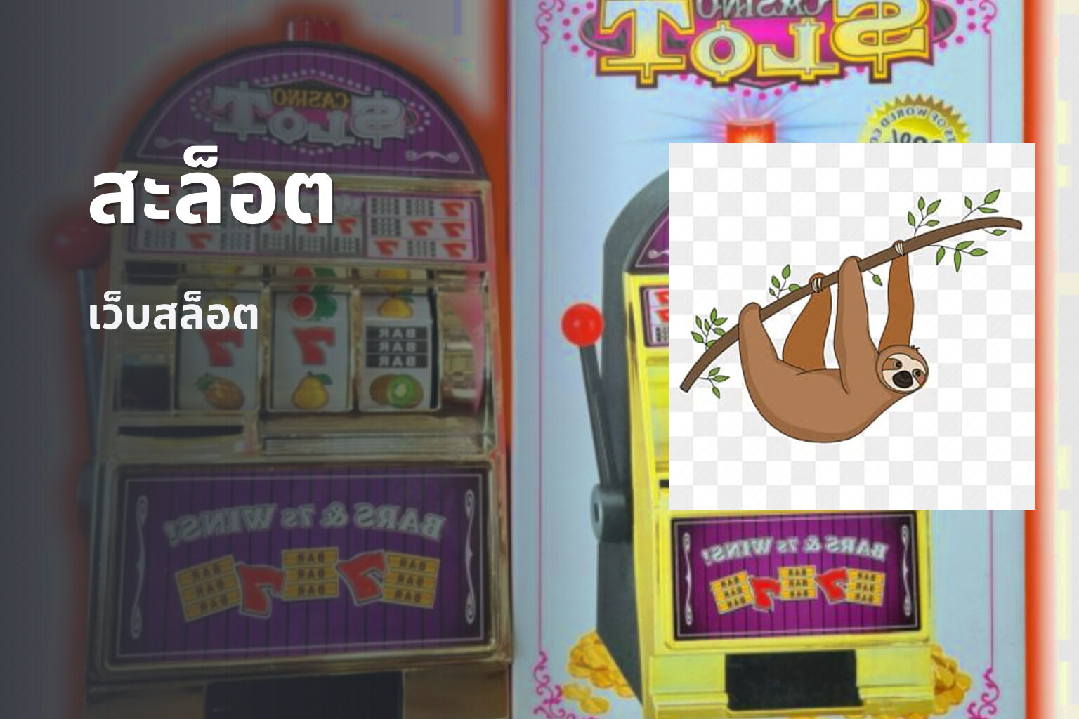 สะล็อต เว็บสล็อต