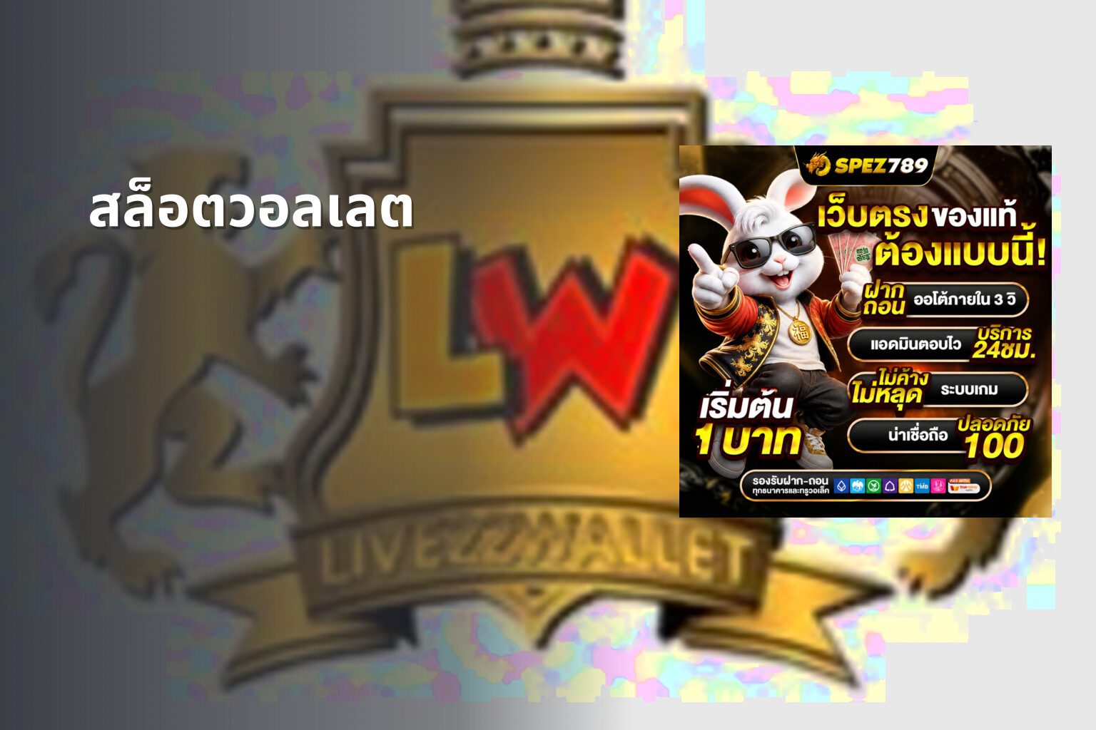 สล็อตวอลเลต - wallet slots