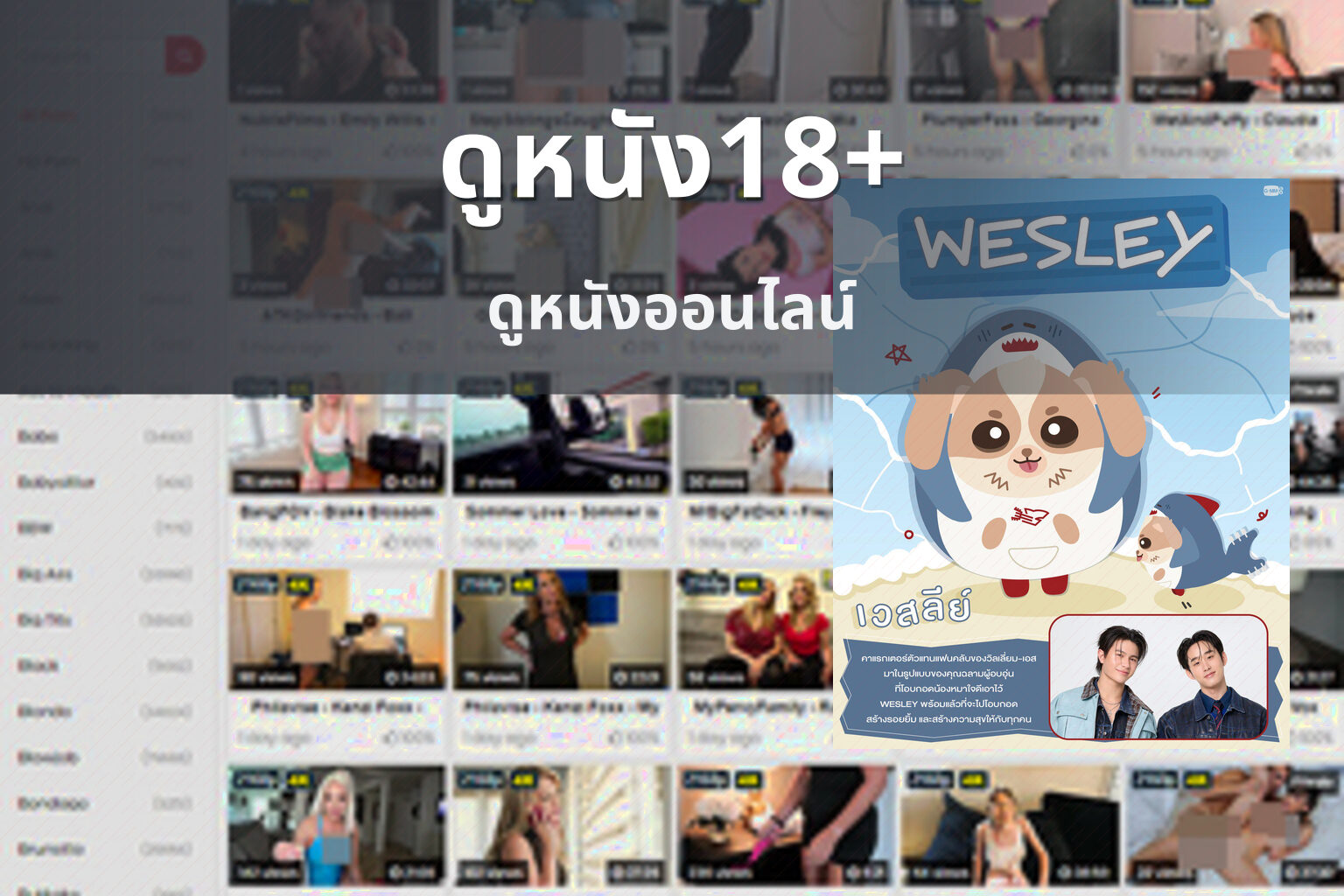ดูหนัง18+ ดูหนังออนไลน์