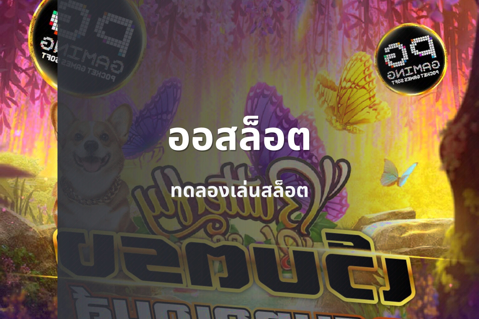 ออสล็อต ทดลองเล่นสล็อต