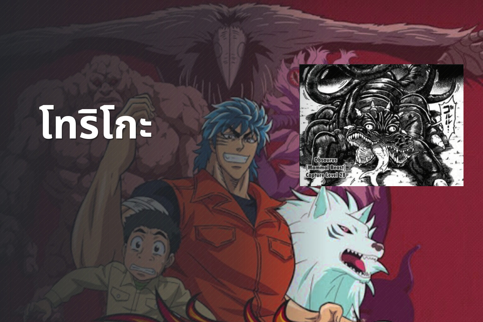 โทริโกะ - anime series