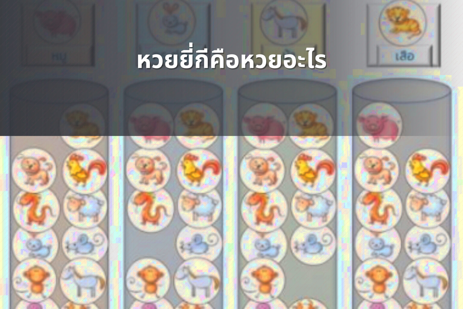 หวยยี่กีคือหวยอะไร - lottery types